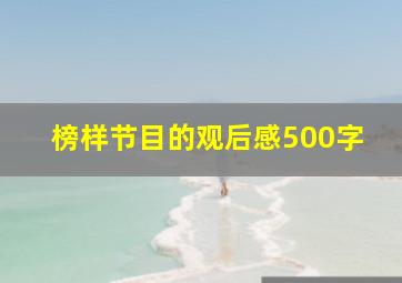 榜样节目的观后感500字