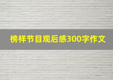 榜样节目观后感300字作文