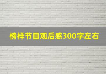 榜样节目观后感300字左右