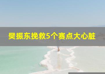 樊振东挽救5个赛点大心脏