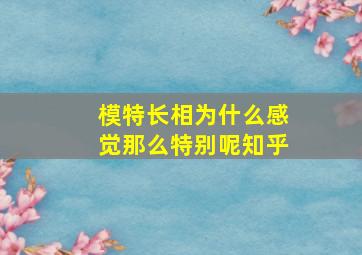 模特长相为什么感觉那么特别呢知乎