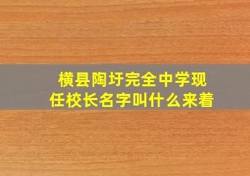 横县陶圩完全中学现任校长名字叫什么来着