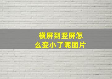 横屏到竖屏怎么变小了呢图片