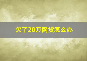 欠了20万网贷怎么办