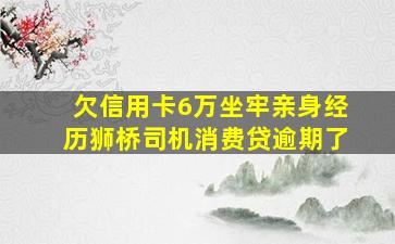 欠信用卡6万坐牢亲身经历狮桥司机消费贷逾期了