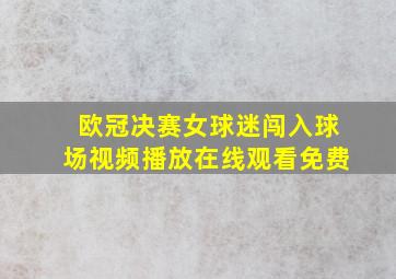 欧冠决赛女球迷闯入球场视频播放在线观看免费