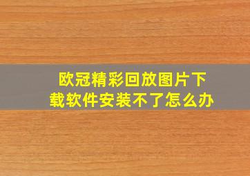 欧冠精彩回放图片下载软件安装不了怎么办