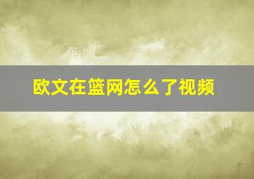 欧文在篮网怎么了视频