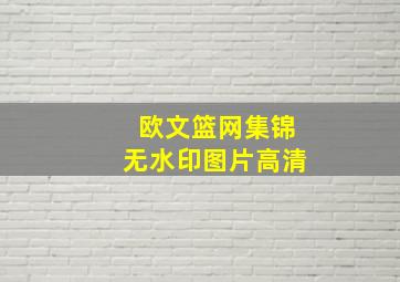 欧文篮网集锦无水印图片高清