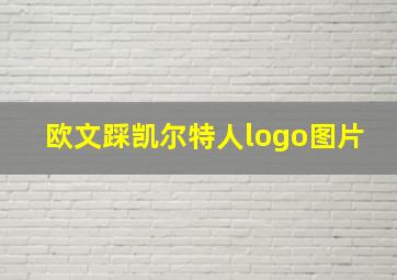 欧文踩凯尔特人logo图片