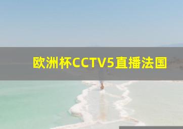 欧洲杯CCTV5直播法国