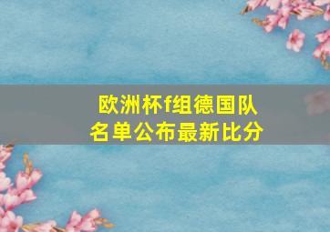 欧洲杯f组德国队名单公布最新比分