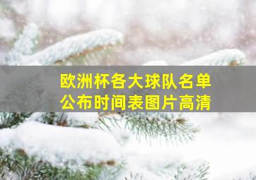 欧洲杯各大球队名单公布时间表图片高清