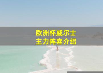 欧洲杯威尔士主力阵容介绍