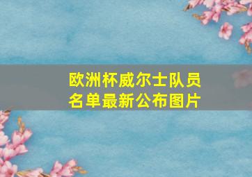 欧洲杯威尔士队员名单最新公布图片