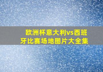 欧洲杯意大利vs西班牙比赛场地图片大全集