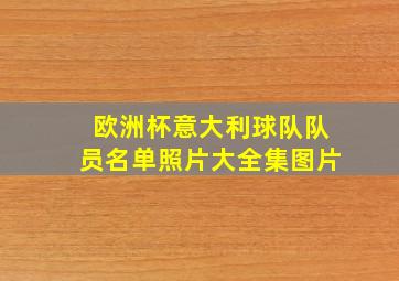 欧洲杯意大利球队队员名单照片大全集图片