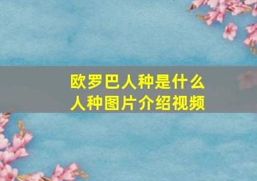 欧罗巴人种是什么人种图片介绍视频