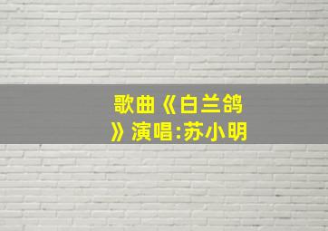 歌曲《白兰鸽》演唱:苏小明