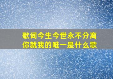 歌词今生今世永不分离你就我的唯一是什么歌