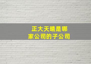 正大天晴是哪家公司的子公司