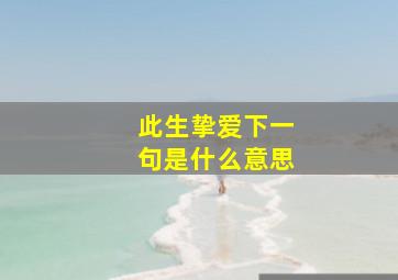 此生挚爱下一句是什么意思