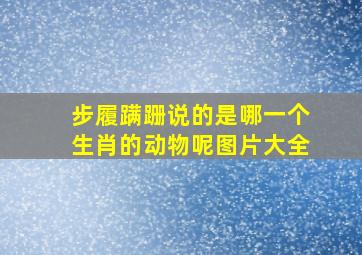 步履蹒跚说的是哪一个生肖的动物呢图片大全