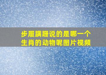 步履蹒跚说的是哪一个生肖的动物呢图片视频