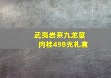 武夷岩茶九龙窠肉桂498克礼盒