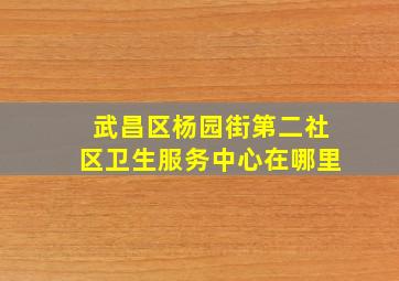 武昌区杨园街第二社区卫生服务中心在哪里