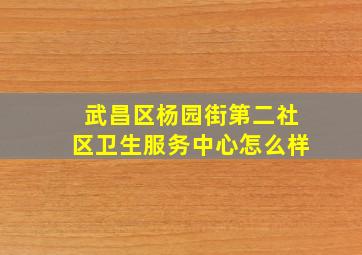 武昌区杨园街第二社区卫生服务中心怎么样