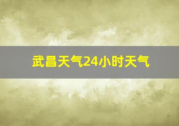 武昌天气24小时天气