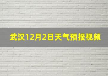 武汉12月2日天气预报视频