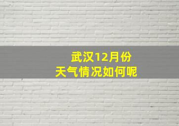 武汉12月份天气情况如何呢