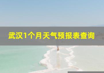 武汉1个月天气预报表查询