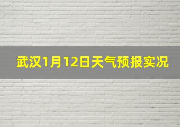 武汉1月12日天气预报实况