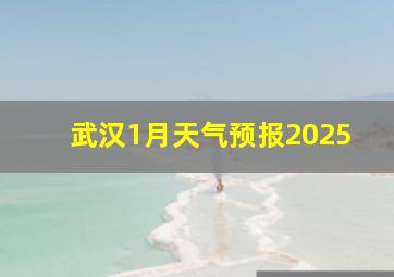 武汉1月天气预报2025