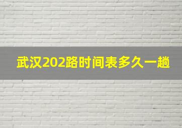 武汉202路时间表多久一趟