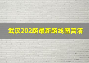 武汉202路最新路线图高清