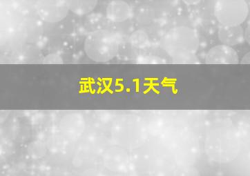 武汉5.1天气