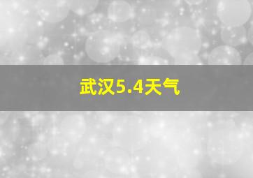 武汉5.4天气