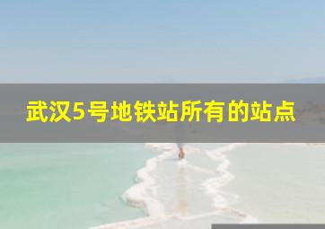 武汉5号地铁站所有的站点