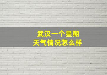 武汉一个星期天气情况怎么样