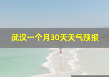 武汉一个月30天天气预报