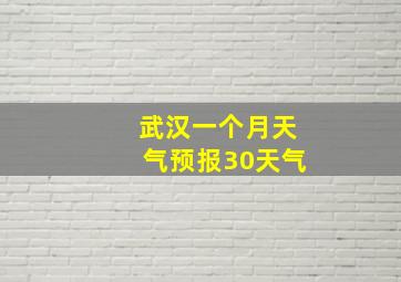 武汉一个月天气预报30天气