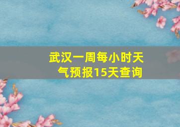 武汉一周每小时天气预报15天查询