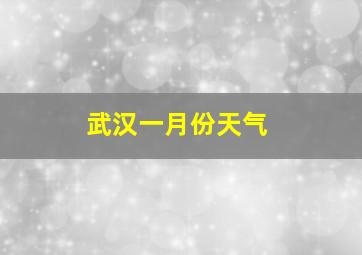 武汉一月份天气