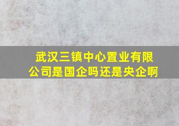 武汉三镇中心置业有限公司是国企吗还是央企啊