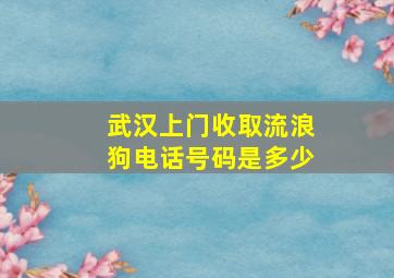 武汉上门收取流浪狗电话号码是多少