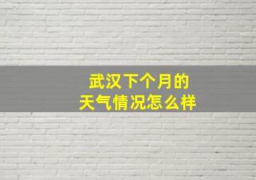 武汉下个月的天气情况怎么样